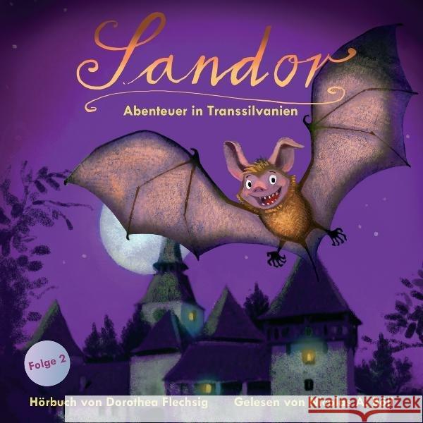 Sandor, Abenteuer in Transsilvanien, 1 Audio-CD : Lesung Flechsig, Dorothea 9783000330452