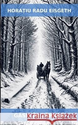 GĂsit ?n ZĂpadĂ Horatiu Eisgeth 9783000850721 Horatiu Radu Eisgeth