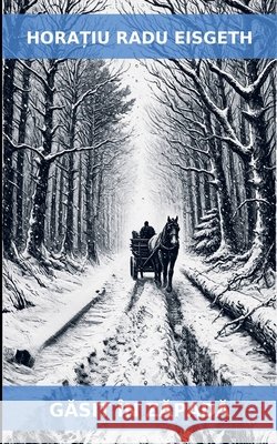 GĂsit ?n ZĂpadĂ Horatiu Eisgeth 9783000850721 Horatiu Radu Eisgeth