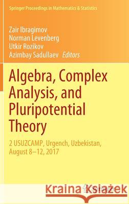 Algebra, Complex Analysis, and Pluripotential Theory: 2 Usuzcamp, Urgench, Uzbekistan, August 8-12, 2017 Ibragimov, Zair 9783030011437 Springer