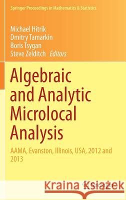 Algebraic and Analytic Microlocal Analysis: Aama, Evanston, Illinois, Usa, 2012 and 2013 Hitrik, Michael 9783030015862 Springer