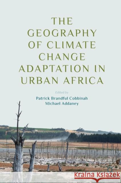 The Geography of Climate Change Adaptation in Urban Africa Patrick Brandful Cobbinah Michael Addaney 9783030048723 Palgrave MacMillan