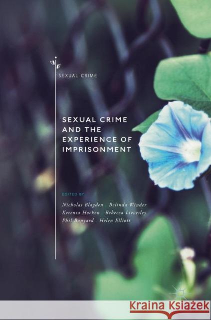 Sexual Crime and the Experience of Imprisonment Nicholas Blagden Belinda Winder Rebecca Lievesley 9783030049294 Palgrave MacMillan