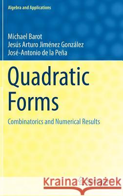 Quadratic Forms: Combinatorics and Numerical Results Barot, Michael 9783030056261 Springer