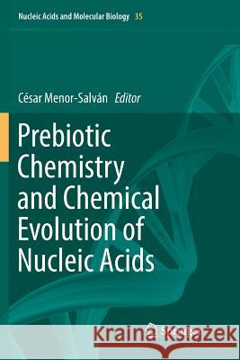 Prebiotic Chemistry and Chemical Evolution of Nucleic Acids Cesar Menor-Salvan 9783030066888