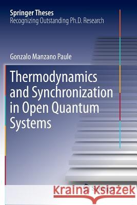 Thermodynamics and Synchronization in Open Quantum Systems Gonzalo Manzan 9783030067571 Springer