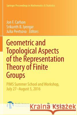 Geometric and Topological Aspects of the Representation Theory of Finite Groups: PIMS Summer School and Workshop, July 27-August 5, 2016 Carlson, Jon F. 9783030067786 Springer