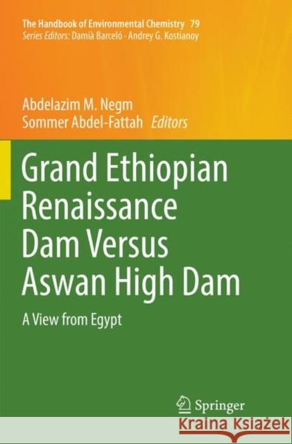 Grand Ethiopian Renaissance Dam Versus Aswan High Dam: A View from Egypt Negm, Abdelazim M. 9783030070663