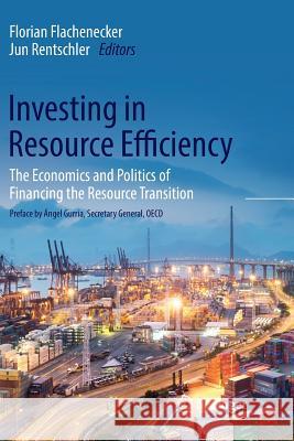 Investing in Resource Efficiency: The Economics and Politics of Financing the Resource Transition Flachenecker, Florian 9783030076689 Springer