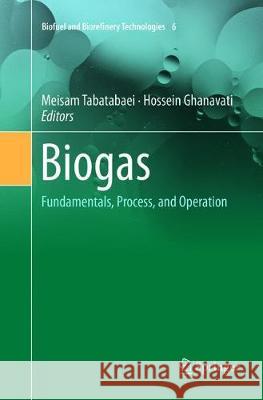 Biogas: Fundamentals, Process, and Operation Tabatabaei, Meisam 9783030084318 Springer