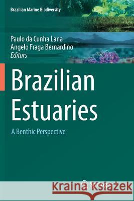 Brazilian Estuaries: A Benthic Perspective Lana, Paulo Da Cunha 9783030085377