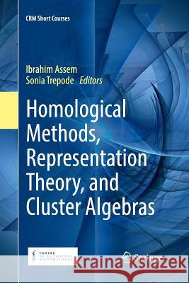 Homological Methods, Representation Theory, and Cluster Algebras Ibrahim Assem Sonia Trepode 9783030090296 Springer