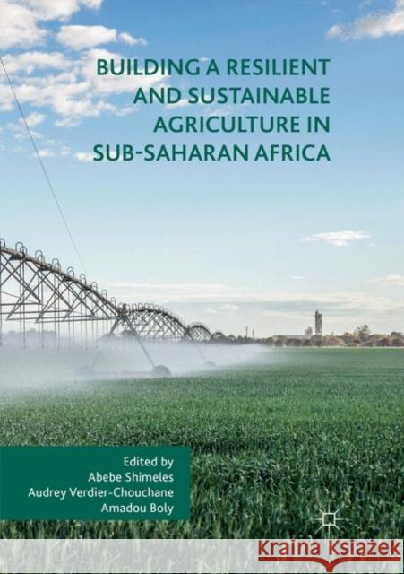 Building a Resilient and Sustainable Agriculture in Sub-Saharan Africa Abebe Shimeles Audrey Verdier-Chouchane Amadou Boly 9783030094331 Palgrave MacMillan