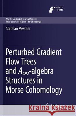 Perturbed Gradient Flow Trees and A∞-Algebra Structures in Morse Cohomology Mescher, Stephan 9783030095260 Springer