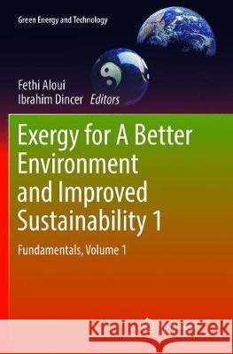 Exergy for a Better Environment and Improved Sustainability 1: Fundamentals Fethi Aloui Ibrahim Dincer 9783030096762 Springer