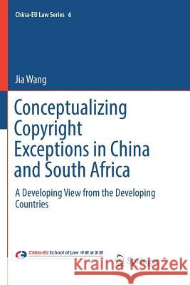 Conceptualizing Copyright Exceptions in China and South Africa: A Developing View from the Developing Countries Wang, Jia 9783030101206 Springer
