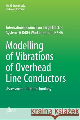 Modelling of Vibrations of Overhead Line Conductors: Assessment of the Technology Diana, Giorgio 9783030102692 Springer