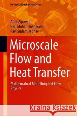 Microscale Flow and Heat Transfer: Mathematical Modelling and Flow Physics Agrawal, Amit 9783030106614