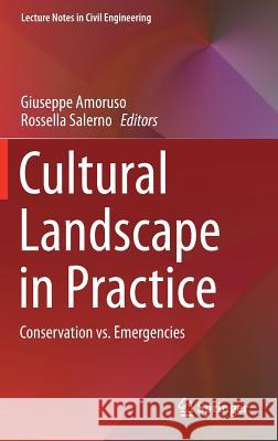 Cultural Landscape in Practice: Conservation vs. Emergencies Amoruso, Giuseppe 9783030114213