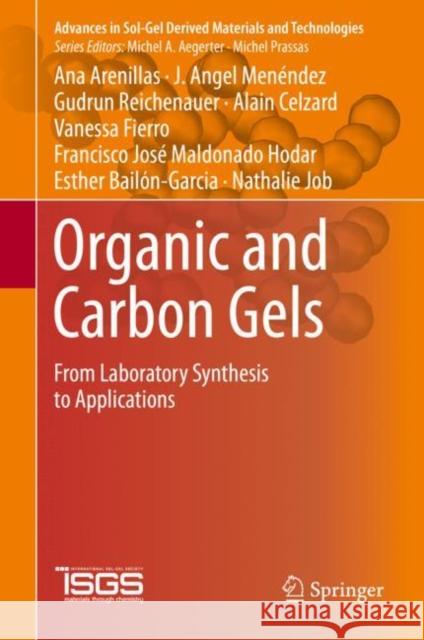 Organic and Carbon Gels: From Laboratory Synthesis to Applications Arenillas, Ana 9783030138967 Springer