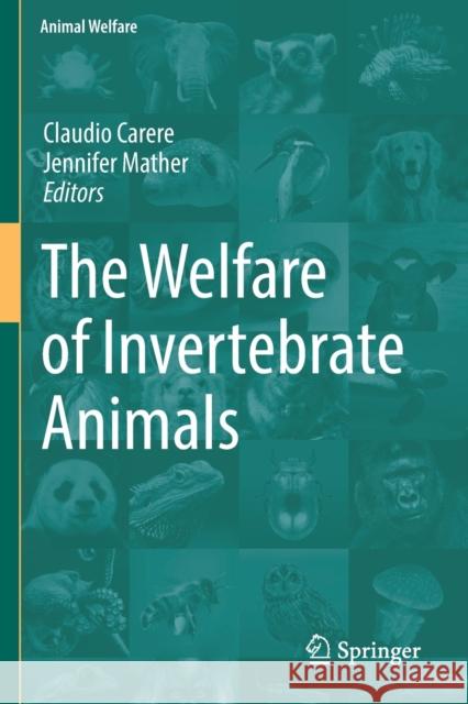 The Welfare of Invertebrate Animals Claudio Carere Jennifer Mather 9783030139490 Springer