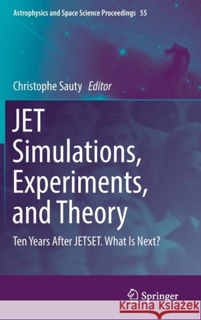 Jet Simulations, Experiments, and Theory: Ten Years After Jetset. What Is Next? Sauty, Christophe 9783030141271 Springer