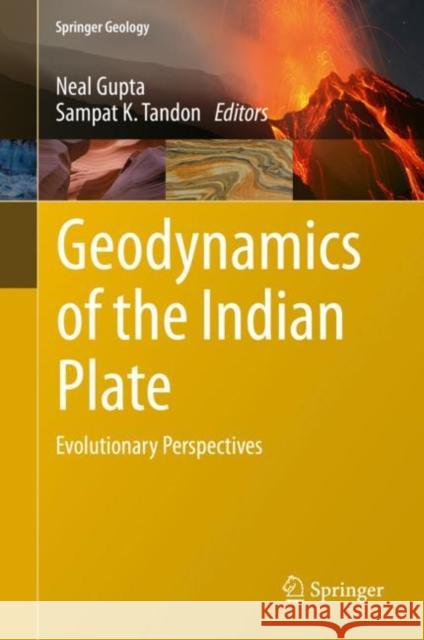 Geodynamics of the Indian Plate: Evolutionary Perspectives Gupta, Neal 9783030159887 Springer