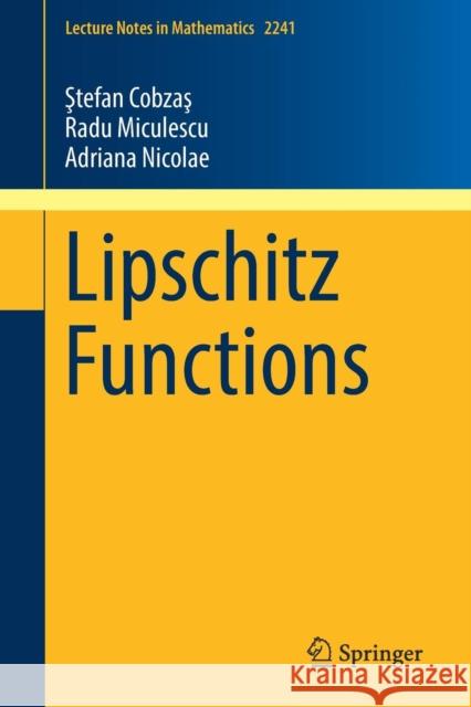 Lipschitz Functions Ştefan Cobzaş Radu Miculescu Adriana Nicolae 9783030164881 Springer