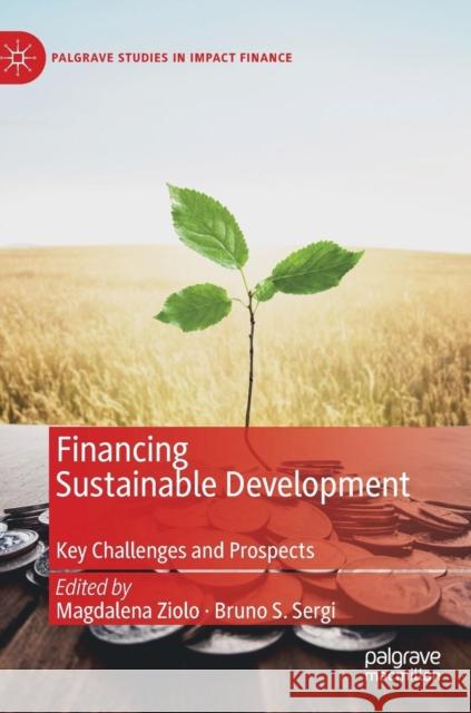 Financing Sustainable Development: Key Challenges and Prospects Ziolo, Magdalena 9783030165215 Palgrave MacMillan