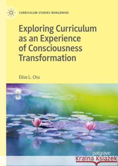 Exploring Curriculum as an Experience of Consciousness Transformation Elise L. Chu 9783030177003 Palgrave MacMillan
