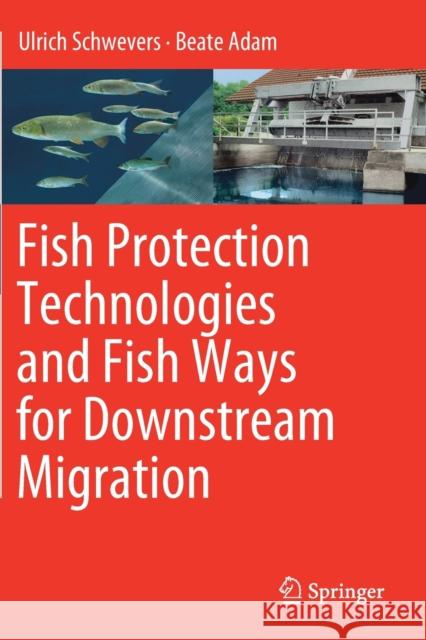 Fish Protection Technologies and Fish Ways for Downstream Migration Ulrich Schwevers Beate Adam 9783030192440