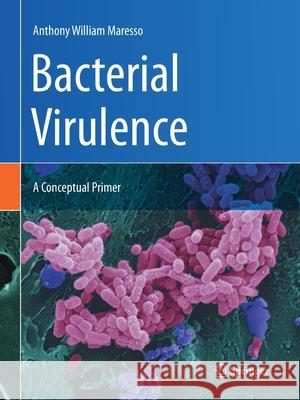 Bacterial Virulence: A Conceptual Primer Maresso, Anthony William 9783030204631 Springer