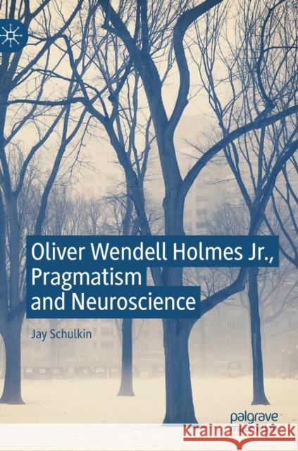 Oliver Wendell Holmes Jr., Pragmatism and Neuroscience Jay Schulkin 9783030230999 Palgrave MacMillan