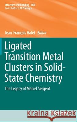 Ligated Transition Metal Clusters in Solid-State Chemistry: The Legacy of Marcel Sergent Halet, Jean-François 9783030251239 Springer
