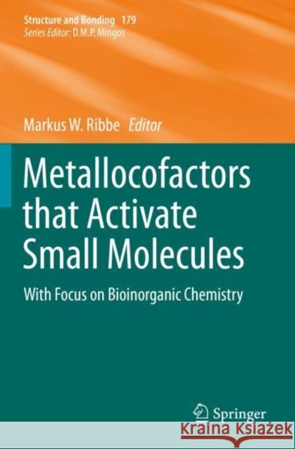 Metallocofactors That Activate Small Molecules: With Focus on Bioinorganic Chemistry Ribbe, Markus W. 9783030258962 Springer