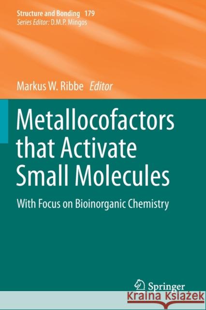 Metallocofactors That Activate Small Molecules: With Focus on Bioinorganic Chemistry Ribbe, Markus W. 9783030258993 Springer