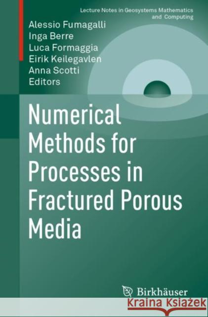 Numerical Methods for Processes in Fractured Porous Media Alessio Fumagalli Inga Berre Luca Formaggia 9783030269401 Birkhauser