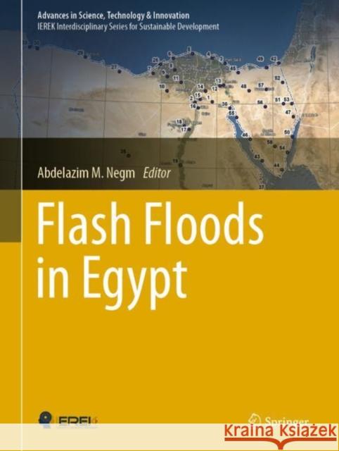 Flash Floods in Egypt Abdelazim M. Negm 9783030296346