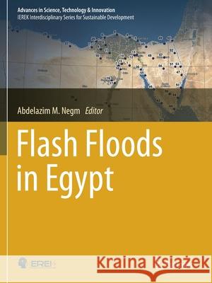 Flash Floods in Egypt Abdelazim M. Negm 9783030296377 Springer