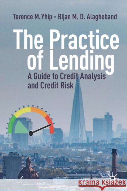 The Practice of Lending: A Guide to Credit Analysis and Credit Risk Terence M. Yhip Bijan M. D. Alagheband 9783030321994 Palgrave MacMillan