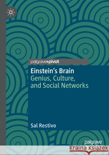 Einstein's Brain: Genius, Culture, and Social Networks Sal Restivo 9783030329204 Palgrave Pivot
