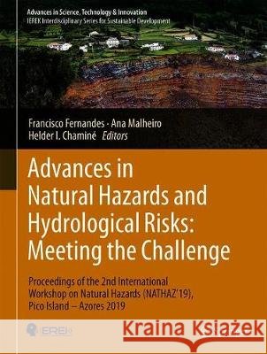 Advances in Natural Hazards and Hydrological Risks: Meeting the Challenge: Proceedings of the 2nd International Workshop on Natural Hazards (Nathaz'19 Fernandes, Francisco 9783030343965 Springer
