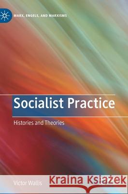 Socialist Practice: Histories and Theories Wallis, Victor 9783030350659