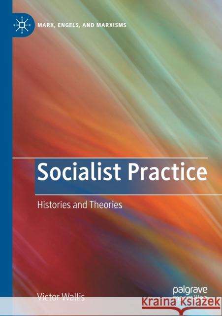 Socialist Practice: Histories and Theories Victor Wallis 9783030350680