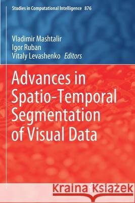 Advances in Spatio-Temporal Segmentation of Visual Data  9783030354824 Springer International Publishing
