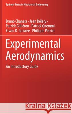 Experimental Aerodynamics: An Introductory Guide Chanetz, Bruno 9783030355616 Springer