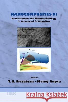 Nanocomposites VI: Nanoscience and Nanotechnology in Advanced Composites Tirumalai S. Srivatsan Manoj Gupta 9783030357894 Springer