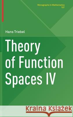 Theory of Function Spaces IV Hans Triebel 9783030358907 Birkhauser
