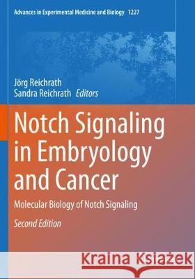 Notch Signaling in Embryology and Cancer: Molecular Biology of Notch Signaling J Reichrath Sandra Reichrath 9783030364243 Springer