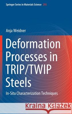 Deformation Processes in Trip/Twip Steels: In-Situ Characterization Techniques Weidner, Anja 9783030371487